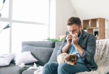 Reingung Wien - NobleClean - Blog -  Allergenfreie Zone: Reinigungstipps für Allergiker