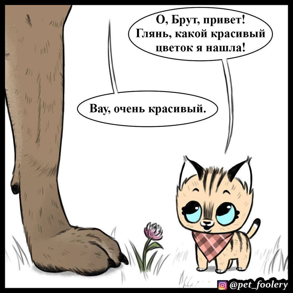 манга пес и котенок фото 16