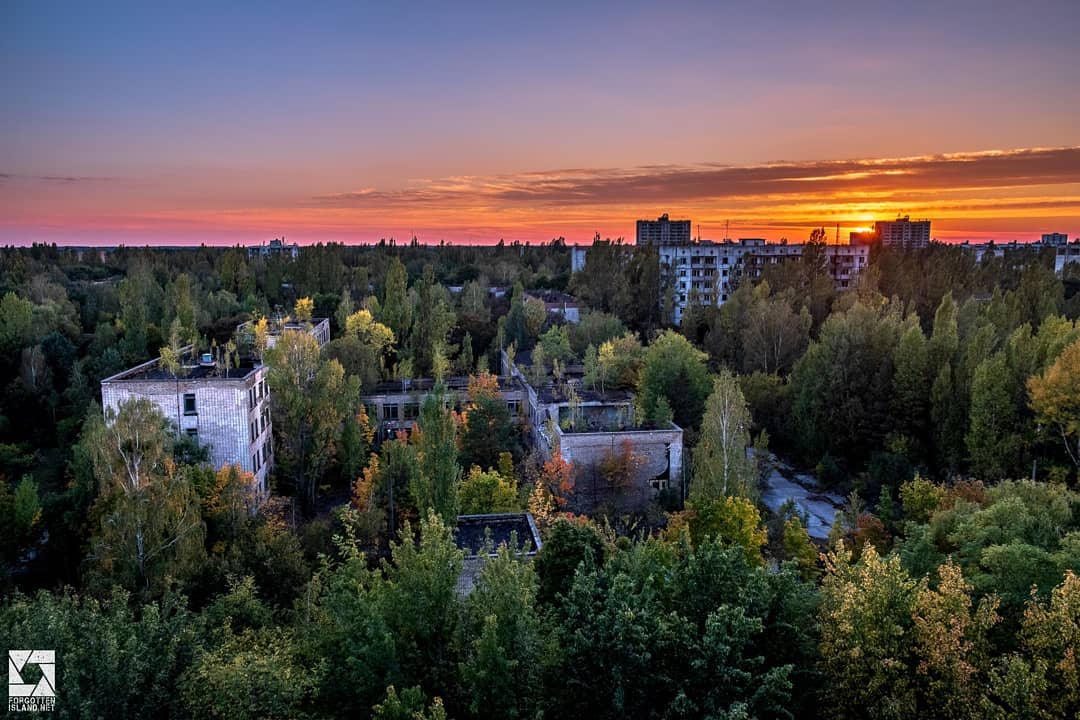 20 фотографий из Чернобыля, которые показывают, как природа восстанавливает заражённую землю