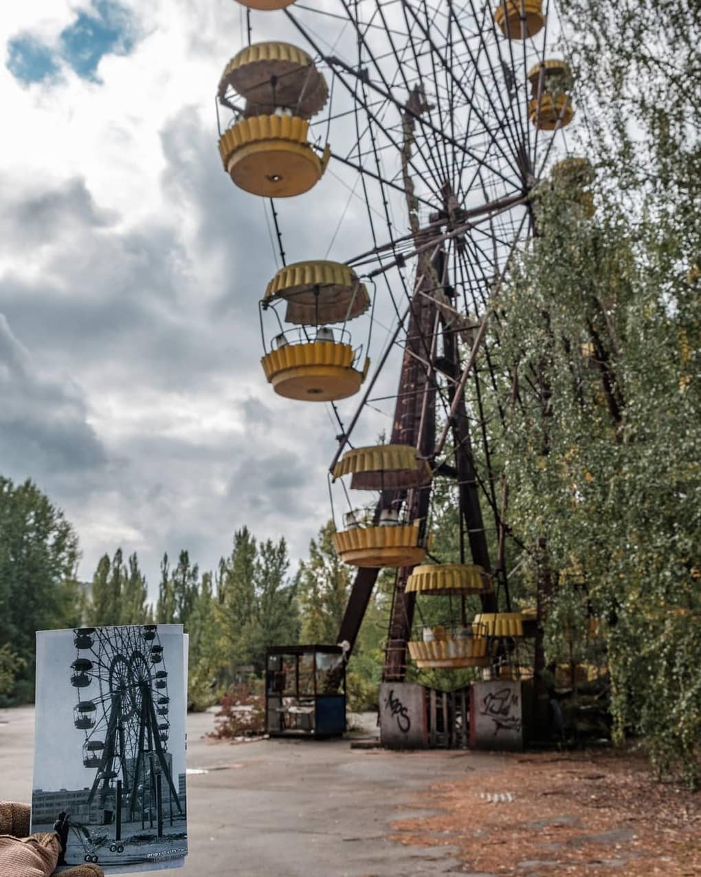 20 фотографий из Чернобыля, которые показывают, как природа восстанавливает заражённую землю