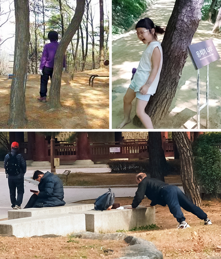 20 крейзи-особенностей жития-бытия в Южной Корее, которые приманивают туда иностранцев
