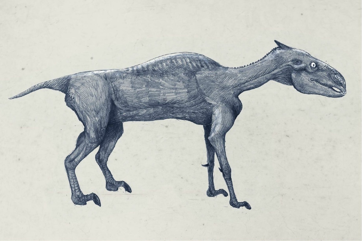 Представьте, что обычных животных археологи будущего реконструировали, как динозавров – только по костям