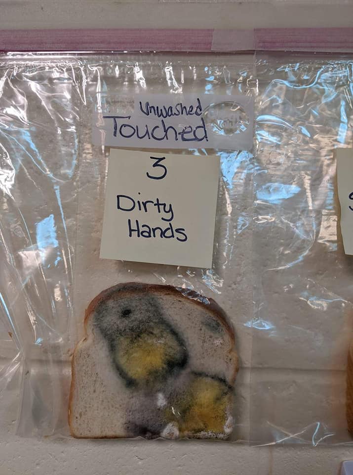 Простой школьный эксперимент по чистоте рук произвел такое впечатление, что дети теперь моют их без напоминания