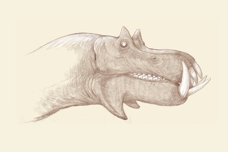 Представьте, что обычных животных археологи будущего реконструировали, как динозавров – только по костям